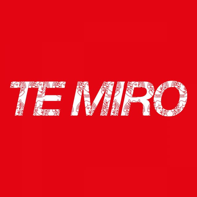 Canción Te Miro