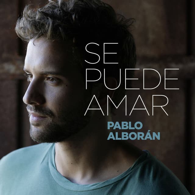 Canción Se puede amar