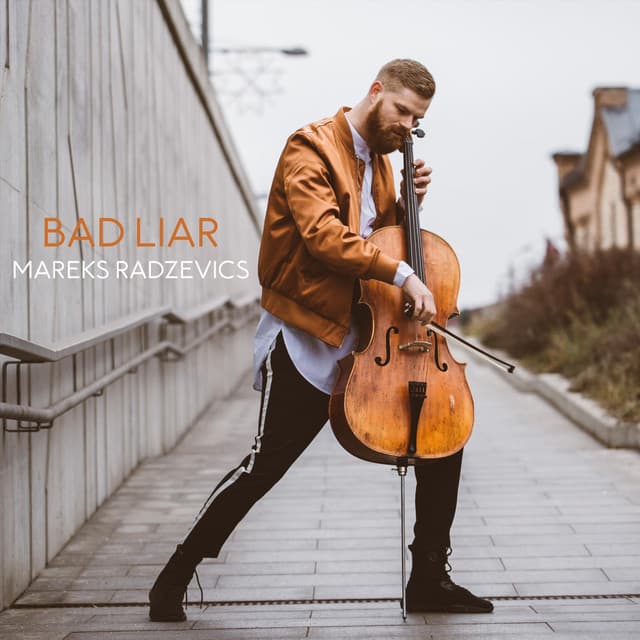 Canción Bad Liar