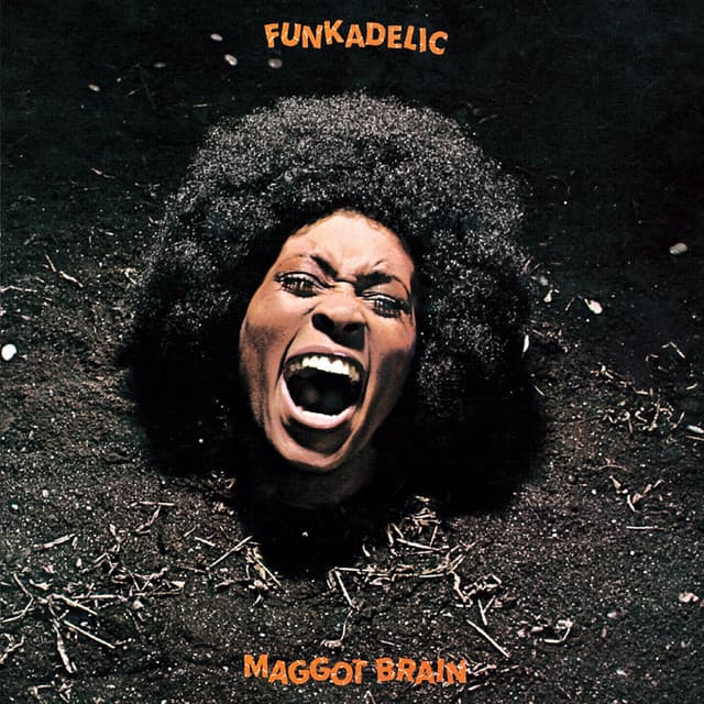 Canción Maggot Brain