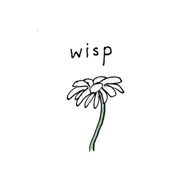 Canción Wisp