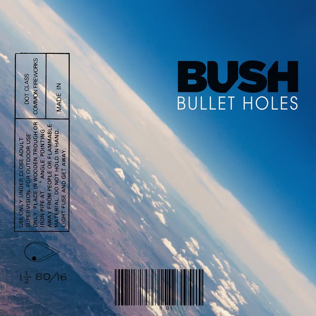 Canción Bullet Holes