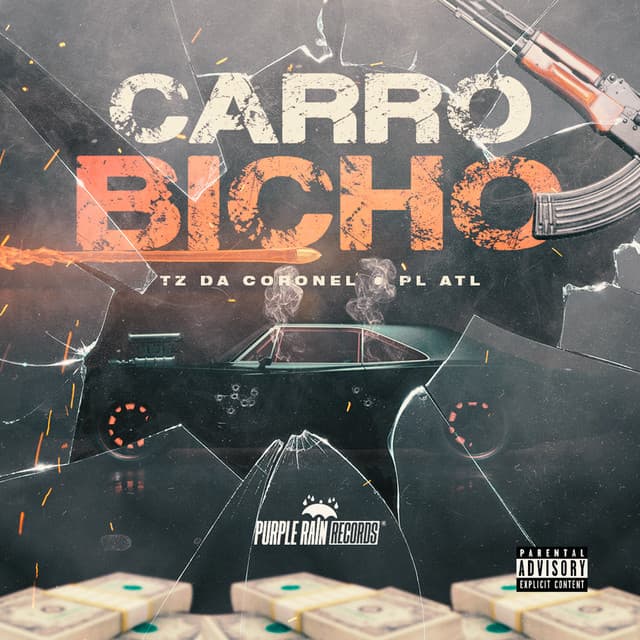 Canción Carro Bicho