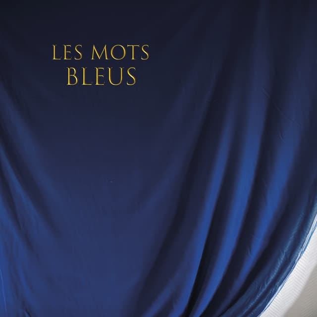 Music Les mots bleus