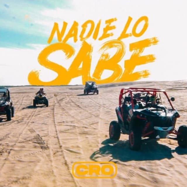 Canción Nadie Lo Sabe