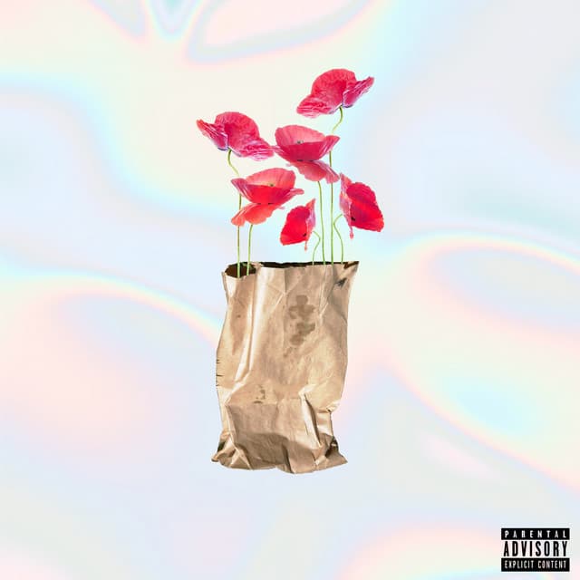 Music Brown Paper Bag