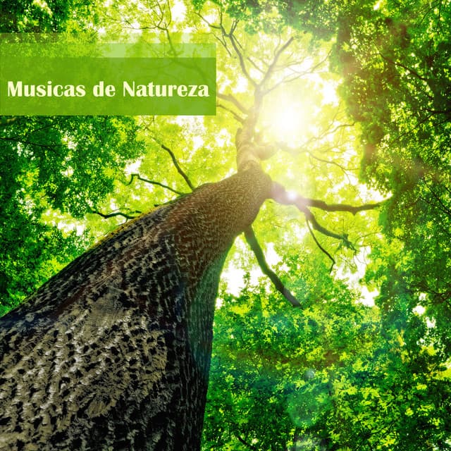 Music Musicas da Natureza (Agua)