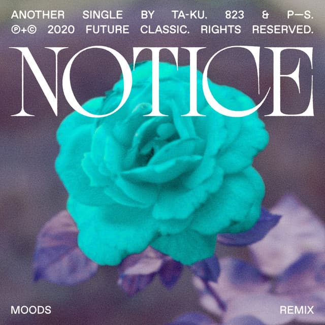 Canción Notice - Moods Remix