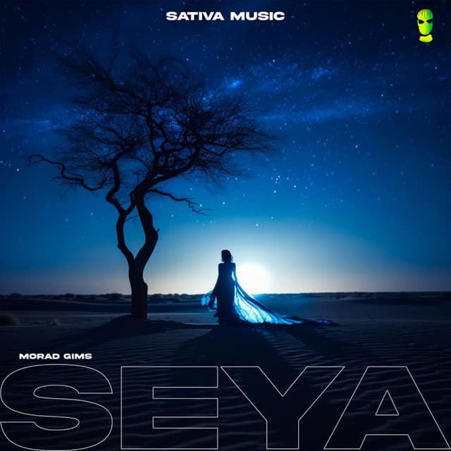 Music Seya