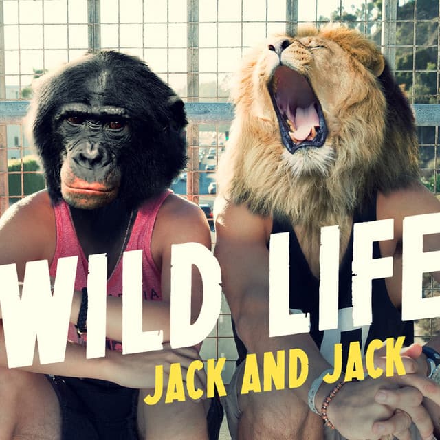 Music Wild Life