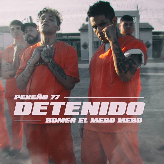 Canción Detenido