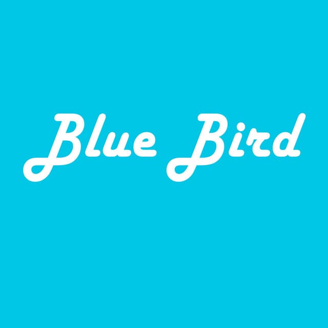 Music Blue Bird