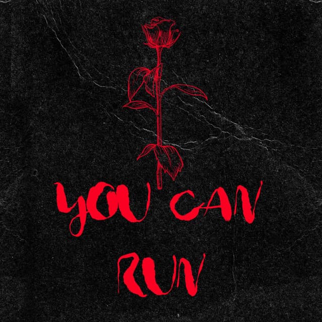 Canción You Can Run