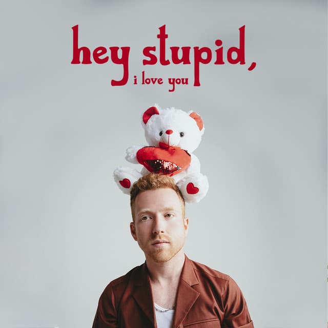 Canción Hey Stupid, I Love You