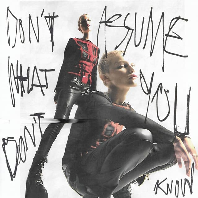 Canción Don't Assume What You Don't Know