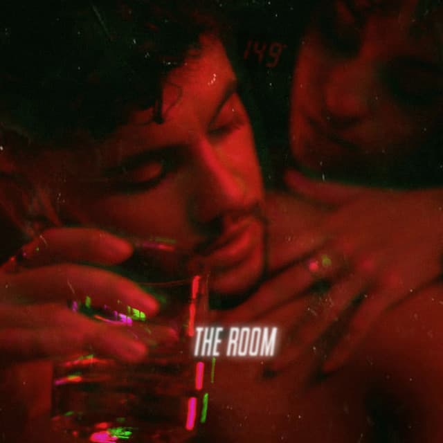 Canción The Room