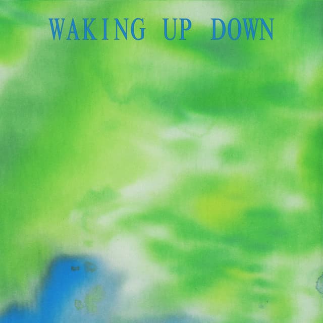 Canción WAKING UP DOWN