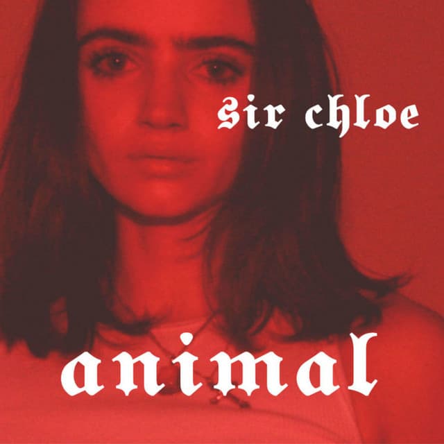 Canción Animal