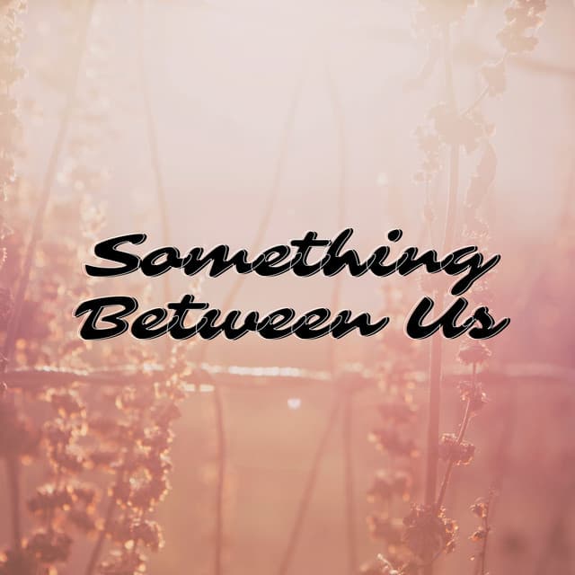 Canción Something Between Us