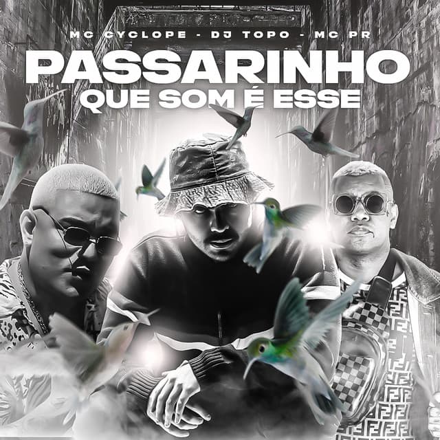 Music Passarinho Que Som É Esse