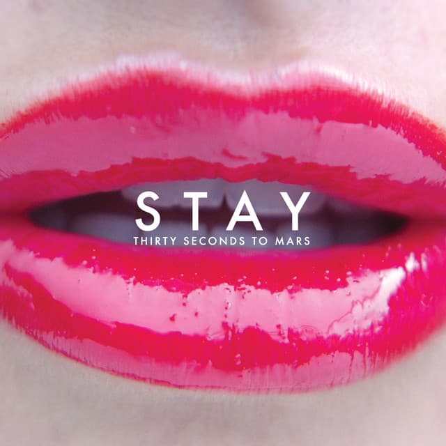 Canción Stay