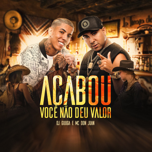 Canción Acabou Você Não Deu Valor