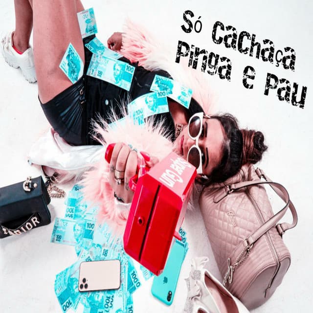 Canción Só Cachaça Pinga e Pau