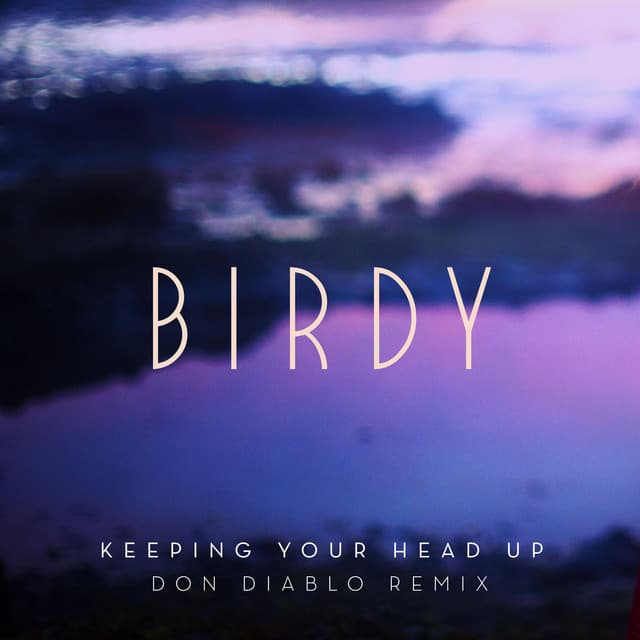 Canción Keeping Your Head Up - Don Diablo Remix; Radio Edit