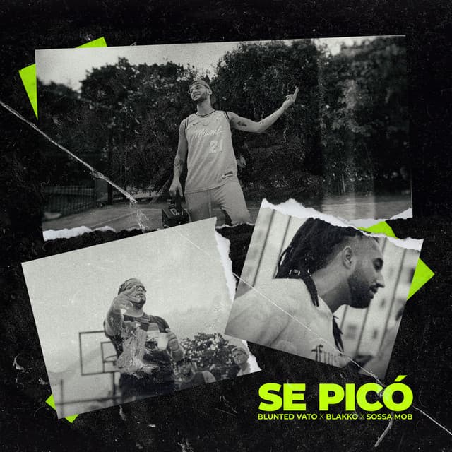 Canción Se Pico