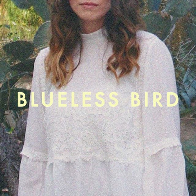 Canción Blueless Bird