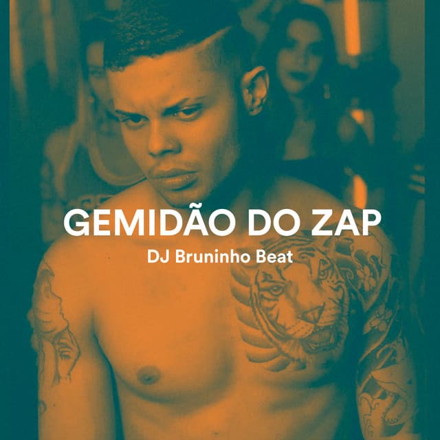 Canción Gemidão do Zap