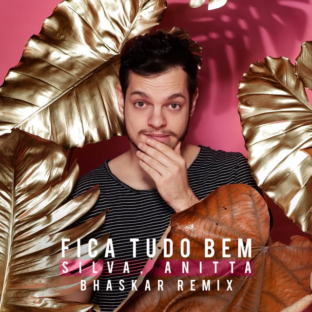 Canción Fica Tudo Bem - Bhaskar Remix