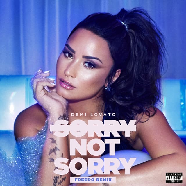 Canción Sorry Not Sorry - Freedo Remix