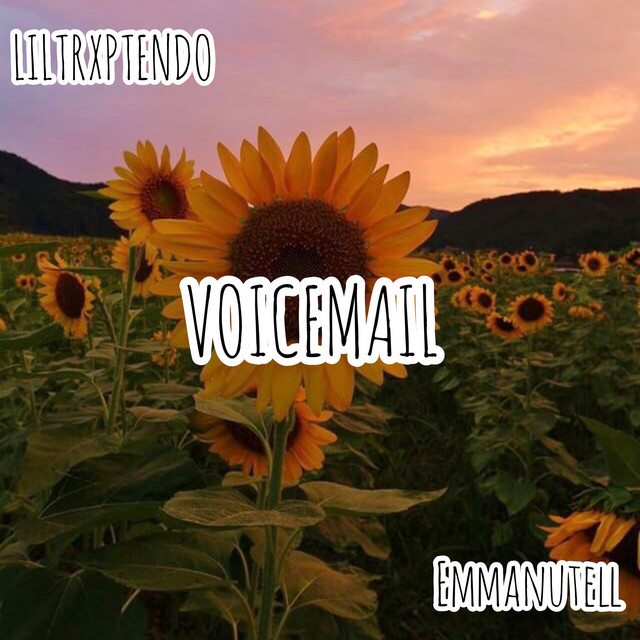 Canción VoiceMail