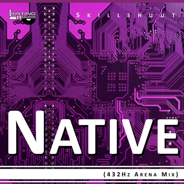 Canción Native - 432Hz Arena Mix