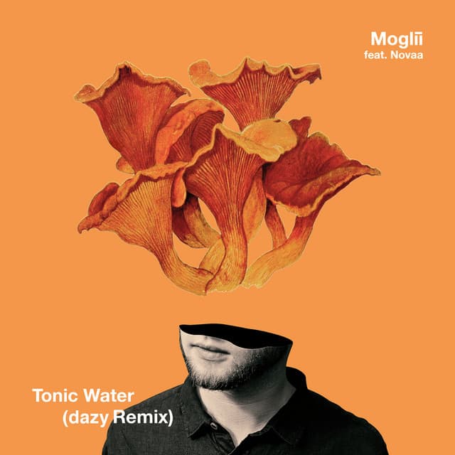 Canción Tonic Water - dazy Remix