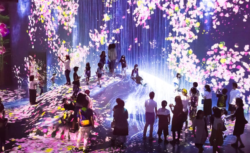 Place teamLab Borderless Tokyo: MORI Building DIGITAL ART MUSEUM