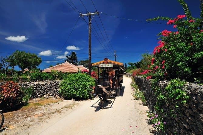 Place Taketomi Island