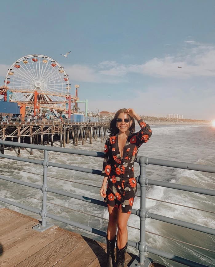 Lugar Santa Monica Pier