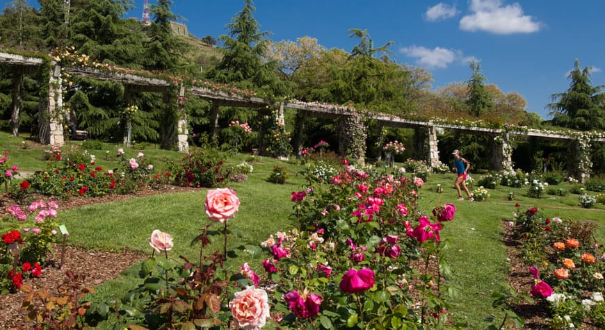 Lugar Parc de Cervantes