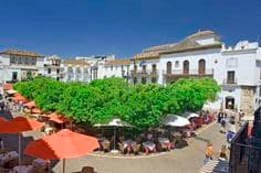 Place Plaza de los Naranjos