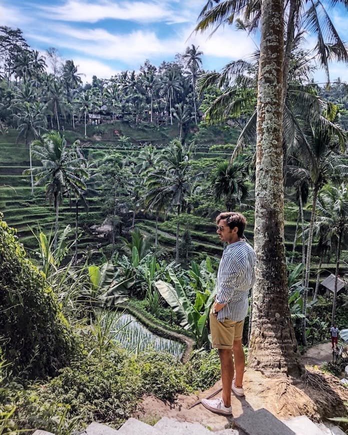 Lugar Tegallalang Rice Terrace