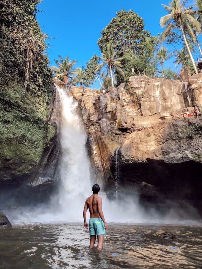 Lugar Tegenungan Waterfall