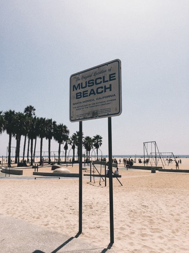 Place Muscle Beach