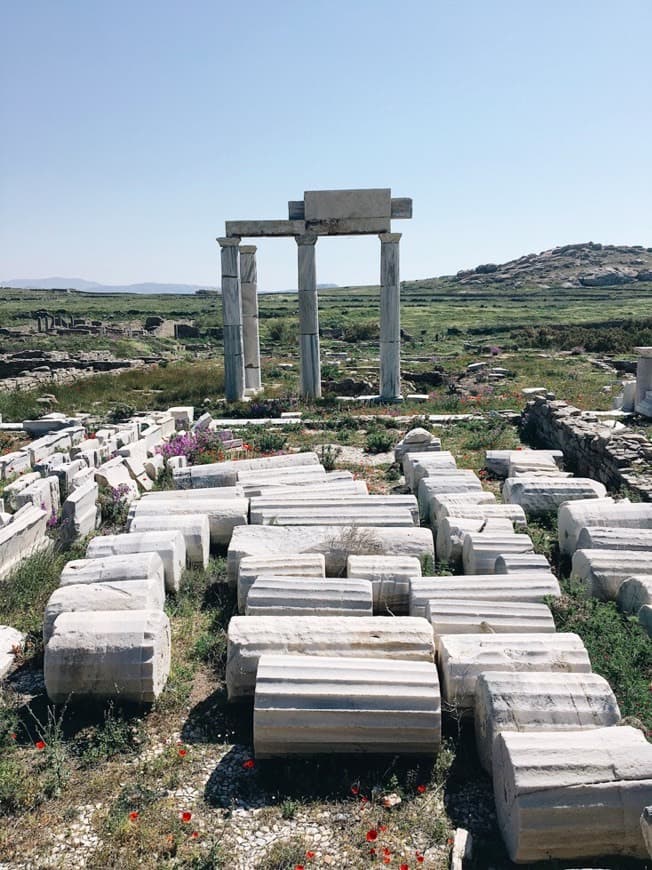 Lugar Yacimiento arqueológico de Delos