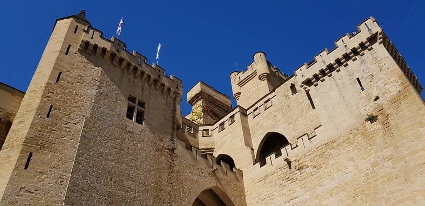 Place Palacio Real de Olite