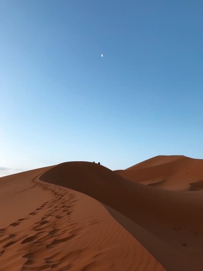 Lugar Sahara Desert