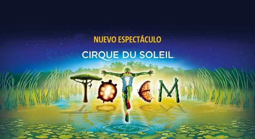 Place Cirque du Soleil