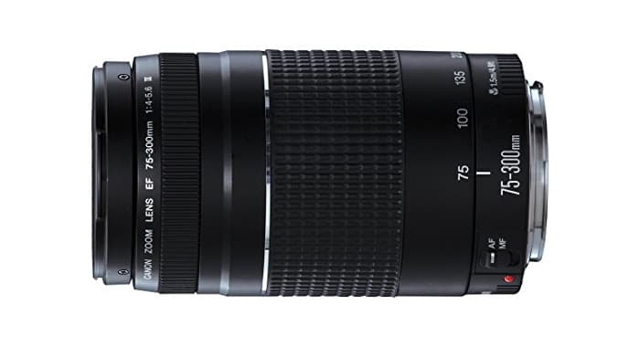 Electronic Canon EF 75-300mm/1:4,0-5,6 III - Objetivo para Canon