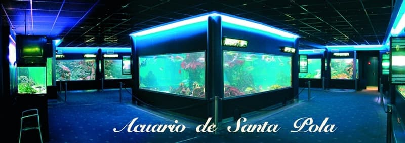 Place Acuario Municipal de Santa Pola